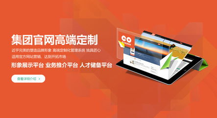 厦门点燃未来网络|网站建设|网站开发|微网站