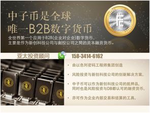 怎么炒股新手入门,炒股培训班